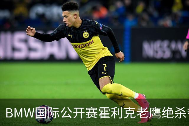 BMW国际公开赛霍利克老鹰绝杀夺首冠 吴阿顺T7